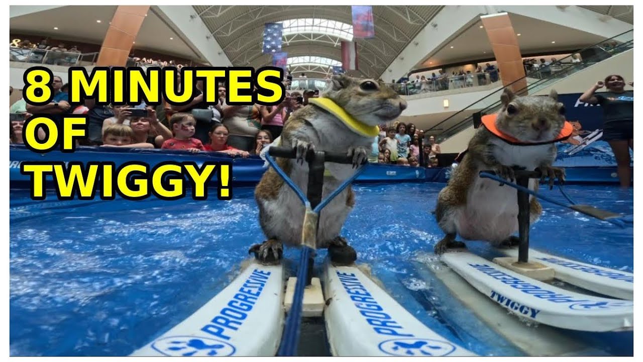 A Squirrel Waterskiing For 8 Minutes!