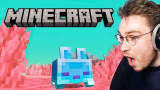 Minecrafts New Dimension Is Insane