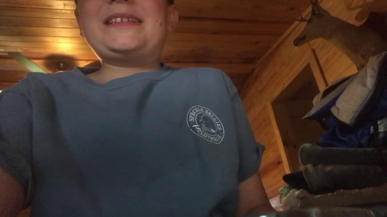 Open Moggey bosses in adopt me