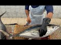 Whole Tuna Amazing Filleting Skills 2022। How to Fillet Whole Tuna with Amazingly। Tuna Fish Fillet