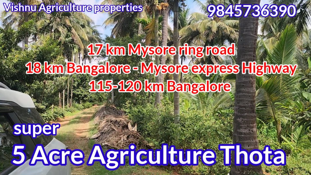 soldout 5 Acre Super thota agriculture land for sale near Mysore