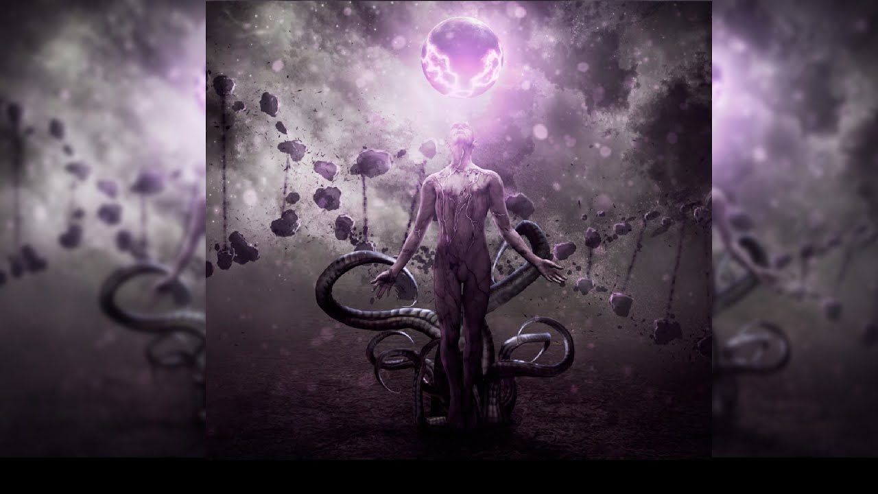 A Sleepless Malice - The Progressive Degradation Lyric Video