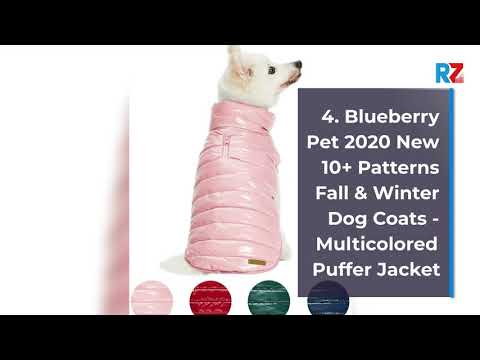 best-dog-coat-|-top-10--dog-coat--for-2020