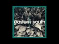 Eastern Youth – 孤立無援の花