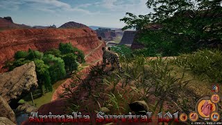 Animalia Survival 101 (Basic Tutorial)