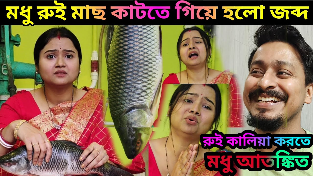 মধু রুই মাছ প্রথমবার কাটতে গিয়ে হলো দারুন জব্দ || অরিজিৎ মধুকে রান্না করালো রুই কালিয়া