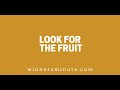 Look for the Fruit // The Winner's Minute With Mac Hammond