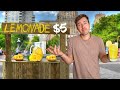 I Opened a Lemonade Stand to Pay my NYC Rent