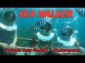SEA WALKER /Serunya Sea walker di Tanjung Benoa /WATER SPORT ADVENTURE / WAHANA AIR @Alghazalistory