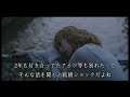 歌ってみた「君の声で君のすべてで...」SURFACE