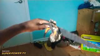 Godzilla Kills Hokmuto