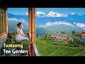 Tumsong  lingia tea garden  darjeeling  travel vlog 174 with santanu ganguly