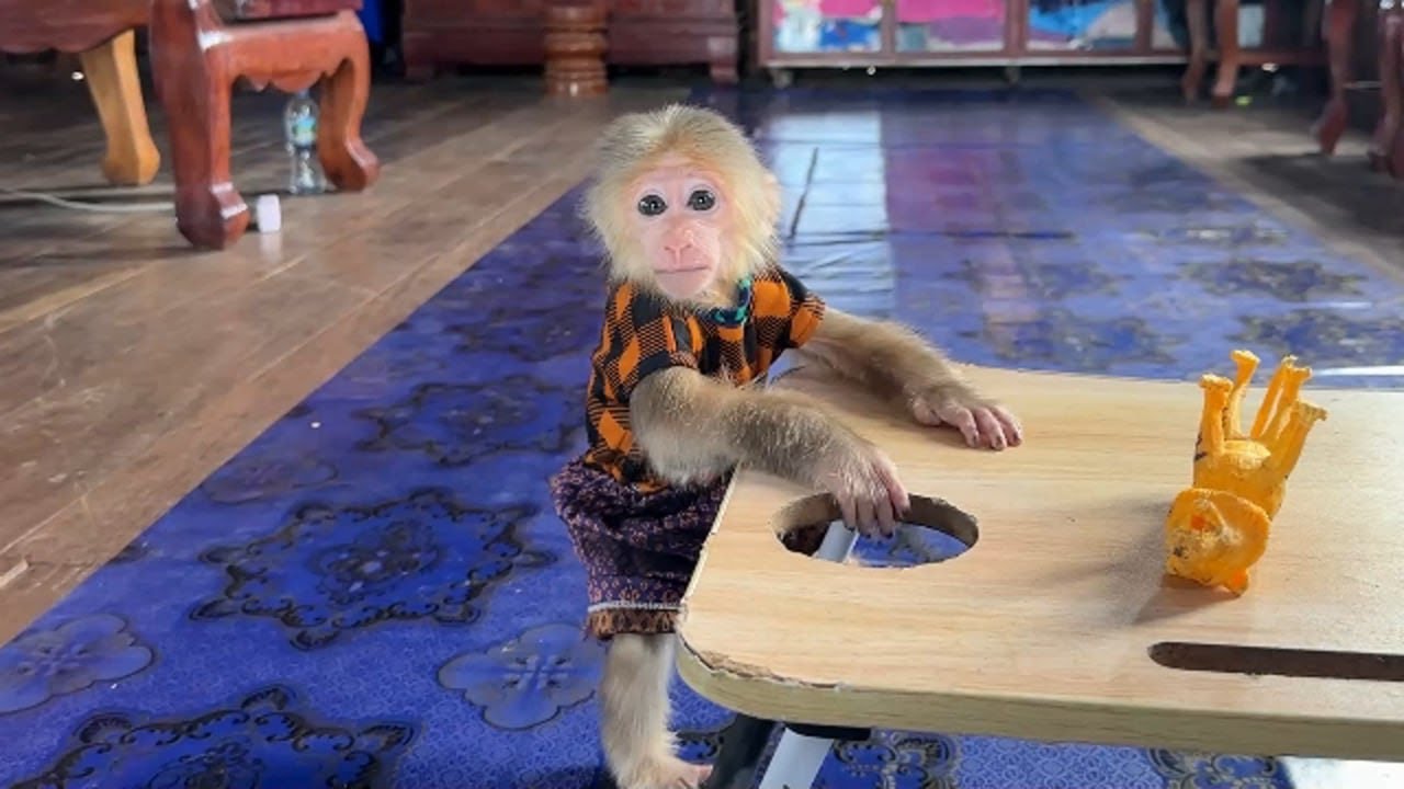 PorPor Get Down In Right Way Admire Him For High IQ