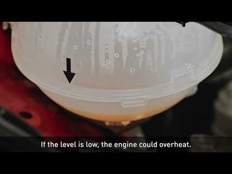 How to check your car's coolant and antifreeze – expert advice from the RAC