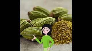 Kakule Hakkinda Kisa Bi̇lgi̇ler 2.Bölüm Ğlık Şfetbeniöneçıkar