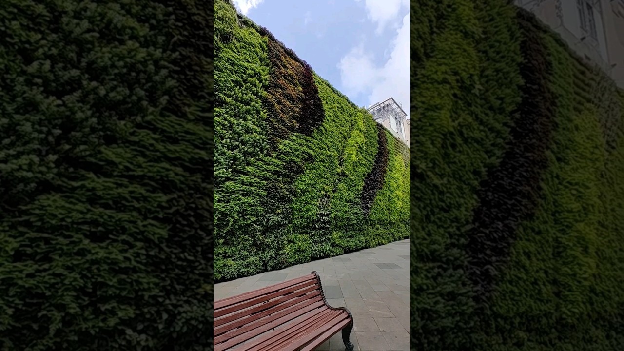 FLOWER WALL IN MOSCOW. ЦВЕТОЧНАЯ СТЕНА В МОСКВЕ. 