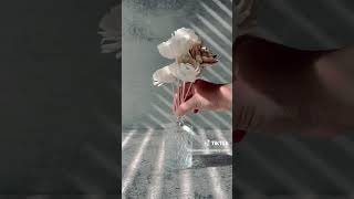 Diffuser Flower Set   Reed Diffuser   Gift for Her #diffusers #giftideas