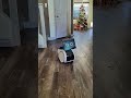 Astro Robot- Merry Christmas 🎄🎁🎄#robot #robotic #realrobot #astro #astrorobot #merrychristmas