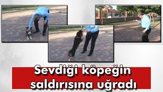 Belediye Başkanı Sevdiği Köpeğin Saldırısına Uğradı