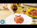 Homemade Back to School Dog Treats | Chewy Eats Homemade Back to School Dog Treats | Chewy Eats
