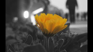 C. Bigalis & M. Fragopoulou - Let me be the one  (lyrics)