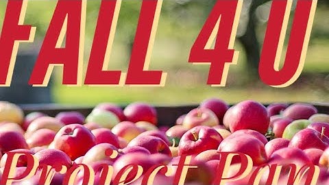 Fall 4 U Project Pan Update #2