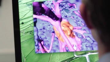 Engineering at Aarhus University