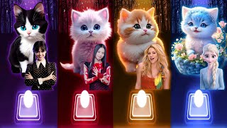 Cute Cats Covers | Wednesday Bloody Mary | Jisoo Flower | Shakira Waka Waka | Elsa Enemy | Cat Songs Resimi