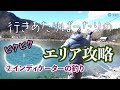 「行きあたりばったりのエリア攻略②」大芦川F&Cフィールドビレッジ 【 インディケーターの釣り】