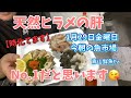 【魚市場】【天然ヒラメ肝の食べ方】今朝の魚市場1月29日金曜日の水揚げ状況！