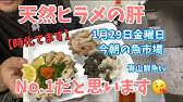 検証 ヒラメは何日寝かせが美味いのか 第111回 Youtube