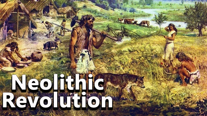 The Neolithic Revolution: The Development of Agriculture - The Journey to Civilization #02 - DayDayNews
