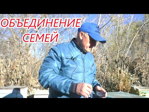 Как объединить слабые семьи в зиму.