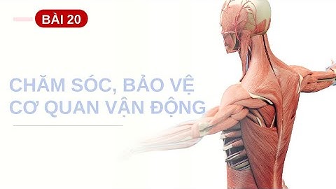 Giáo án powerpoint Bài 20: Chăm sóc và bảo vệ cơ quan vận động | GA điện tử Tự nhiên xã hội 2 Ctst