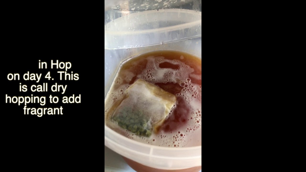 DIY Beer Brewing YouTube