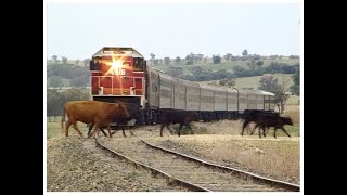 Australian diesel locomotives 4803 & 4916 - Young to Greenthorpe - March 2001