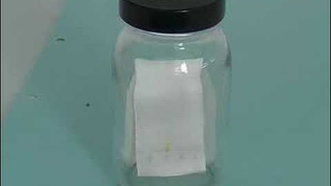 Thin Layer Chromatography (TLC)