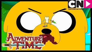 Время приключений | Джейк против Мемяу | Cartoon Network Время приключений | Джейк против Мемяу | Cartoon Network