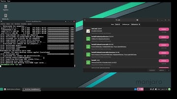Eres nuevo en Manjaro? , mira como usar la terminal para instalar aplicaciones