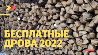 Сбор валежника. Что такое валежник? Можно использовать бензопилу? Что делать если поймала полиция?