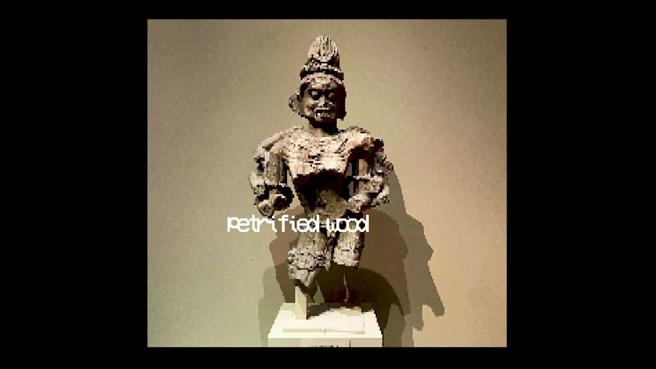 " Petrified Wood " - SALAMANDERITUS