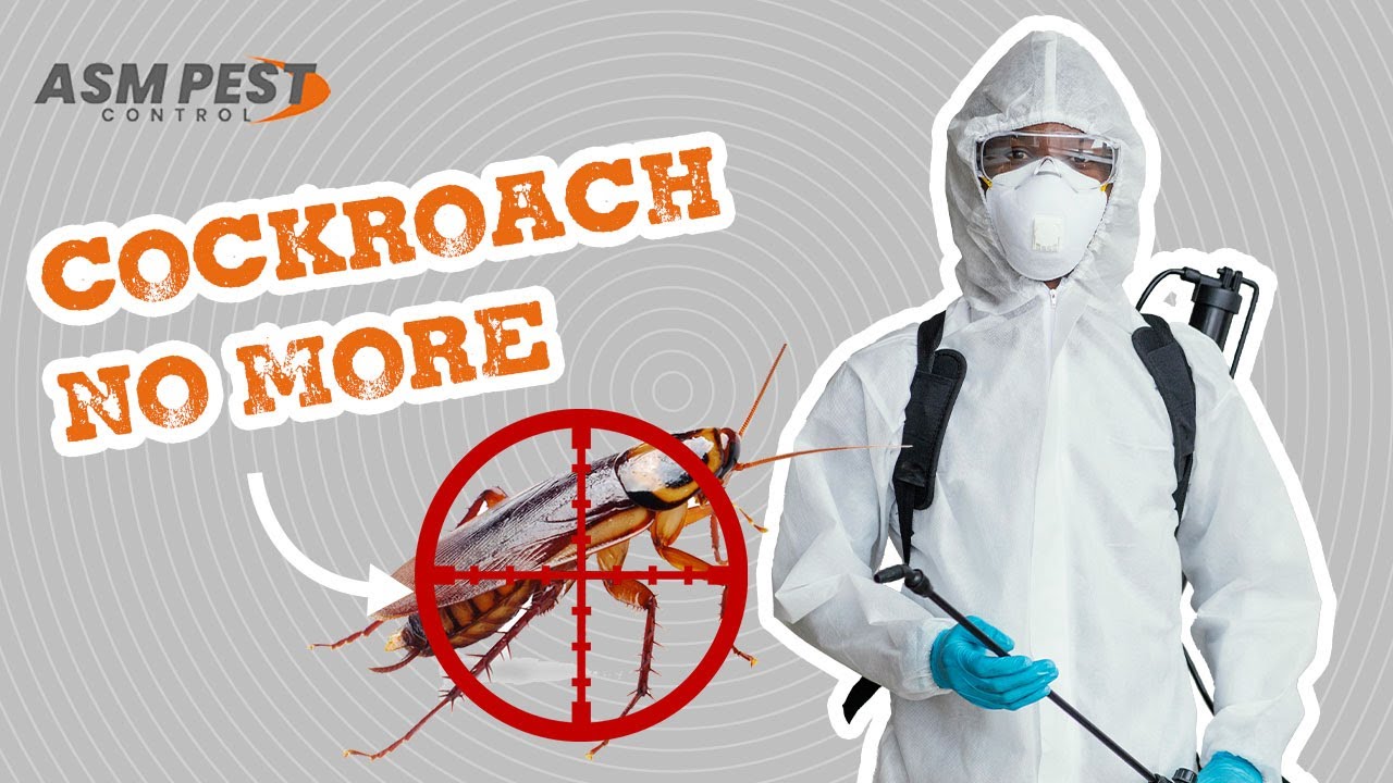 Call ASM for Cockroach control and removal
