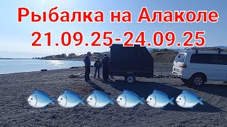 Алаколь 2025 уникальное озеро, чистая рыба и большая рыбалка #automobile #алаколь #рыбалка #offroad