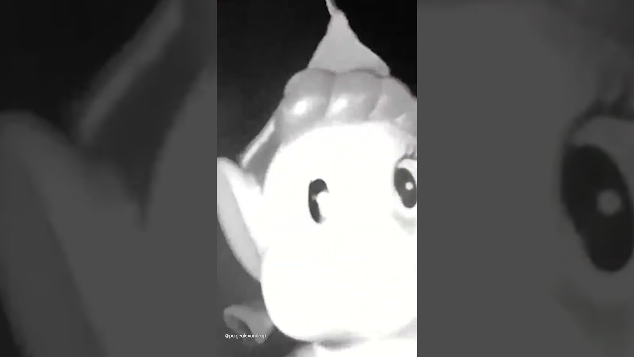 When You Try And Make The Elf Fly.. And It Goes Wrong 😂