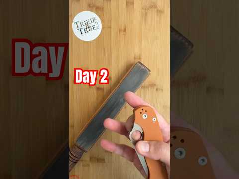 Retesting Day 2️⃣: Spyderco Paramilitary 2 Rex45   