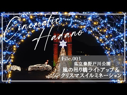 【Cinematic Hadano】File 003「県立秦野戸川公園 風の吊り橋ライトアップ&クリスマスイルミネーション」