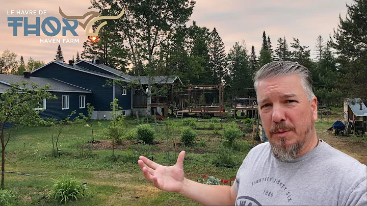 Tour Of Our Zone 4 Food Forest