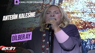 DİLBERAY -ORHAN   -  CİHAN   ANTEBİN KALESİNE