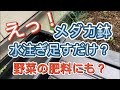 水かえ簡単メダカ鉢　　　　（小さな家庭菜園）
