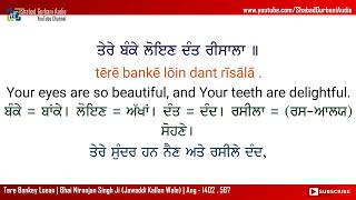 Tere Bankey Loean | Bhai Niranjan Singh Ji | Punjabi , English Lyrics & Meaning | Gurbani | 4k 60fps